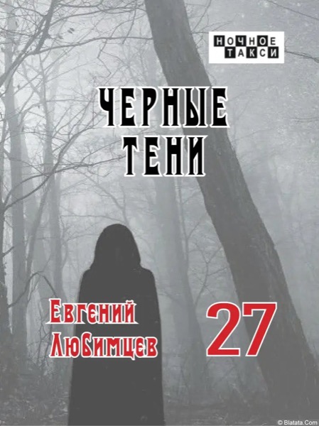 Евгений Любимцев «Черные тени» (2024)